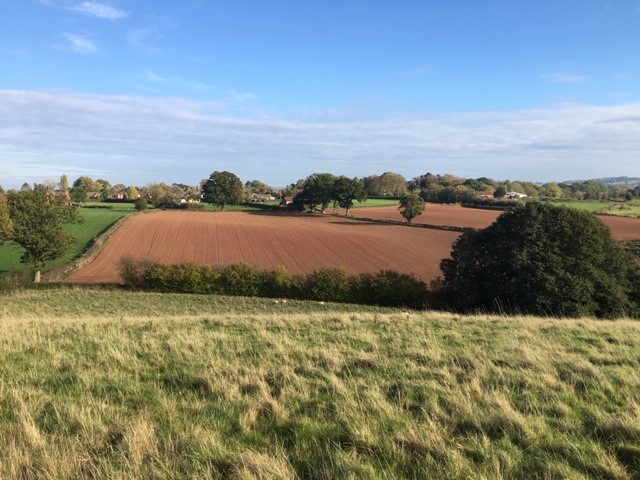 Autumn sun over peaceful plough land. From Adam’s farm….