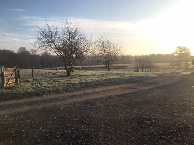 frosty morning on Adam’s farm....